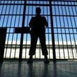 Arrestan en Brasil 17 acusados de integrar redes de piratera en internet
