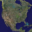 Google Earth aade vdeos, fotos y blogs a su servicio