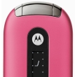 Motorola llena de colores el mundo de la telefona celular
