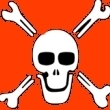 La aduana argentina destruye medio milln de discos piratas
