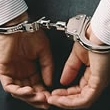 Arrestadas 70 personas en operacin contra red pedofilia en Internet