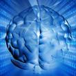 Google se expande a la inteligencia artificial