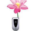 celular-flor (5k image)