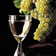 Volumen de exportaciones argentinas de vinos crece 27%