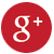 Google+