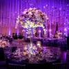 alquiler de luces led para bodas en cartagena