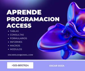 Domina Microsoft Access y Crea Sistemas Profesion