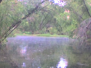 rio de flores magon