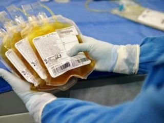 Resultados del primer estudio sobre el uso de Plasma en pacientes con Covid-19