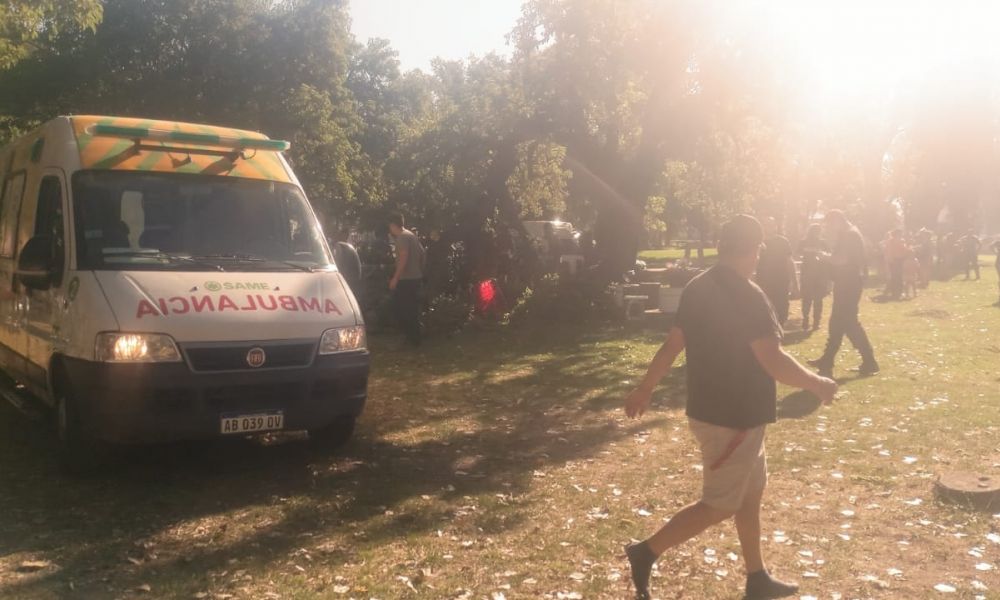 Cae parte de un árbol sobre personas en el Parque Municipal