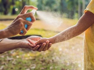 Prohben la venta de repelente y crema para mosquitos Qu marcas?