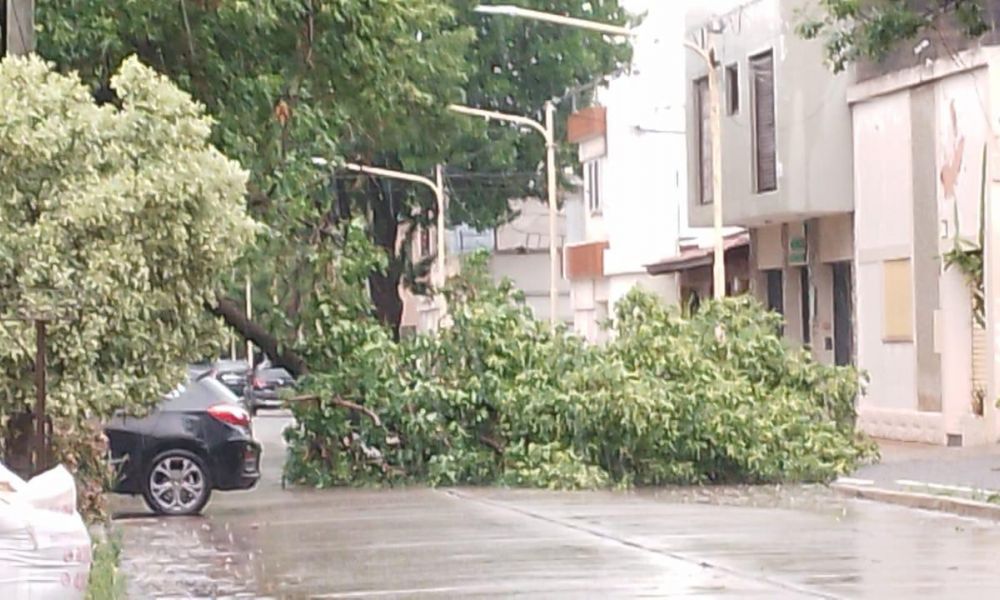Pergamino tras el temporal