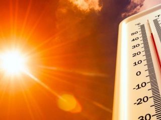 Calor por encima de lo normal: Casi toda la provincia de Buenos Aires bajo temperaturas extremas