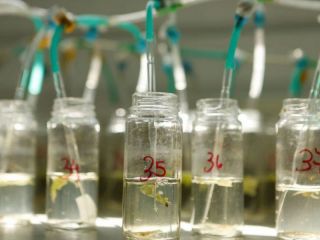 La Corte Suprema de Justicia confirm� que el agua de Pergamino est� contaminada