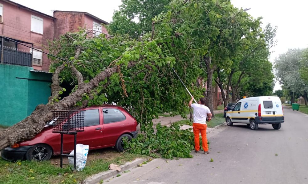 Vientos con ráfagas de 70 km causan destrozos en la ciudad