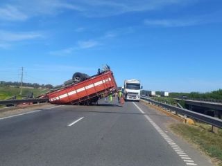 De la tragedia al caos: volc un camin con vacas en San Pedro y los vecinos carnearon los animales