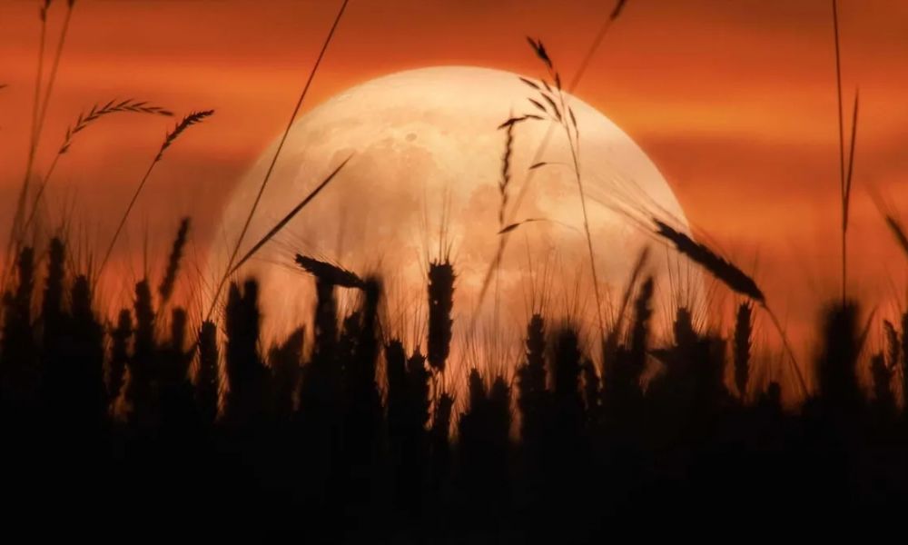 Eclipse de «Luna de Cosecha»
