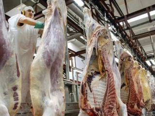 Milei elimina retenciones a la carne y busca dlares del agro