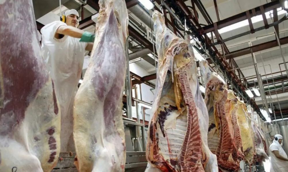 Milei elimina retenciones a la carne