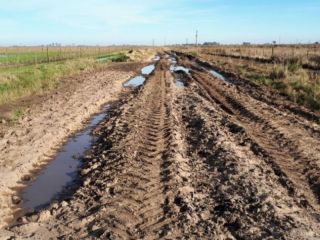 «Si no arreglan los caminos, vamos a la Justicia»: Productores desafían al intendente de Junín
