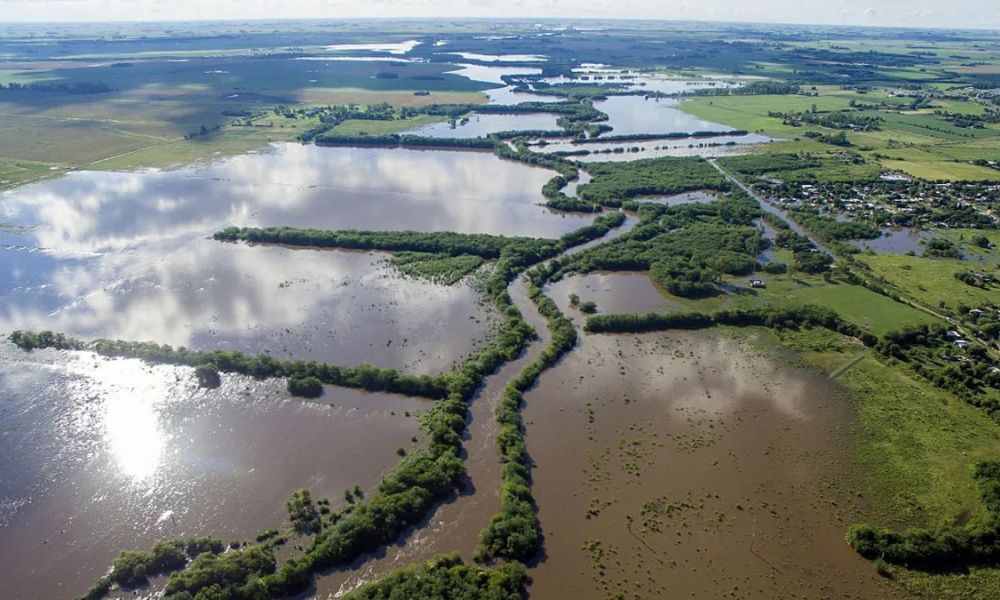 ARBA eximió del impuesto rural a productores