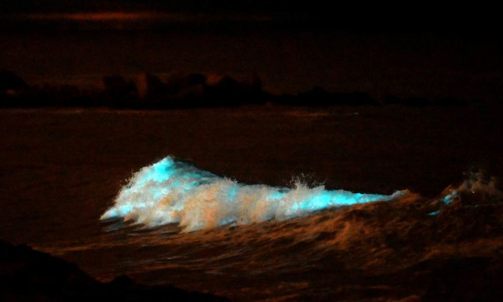 Olas brillantes y azules en Mar del Plata