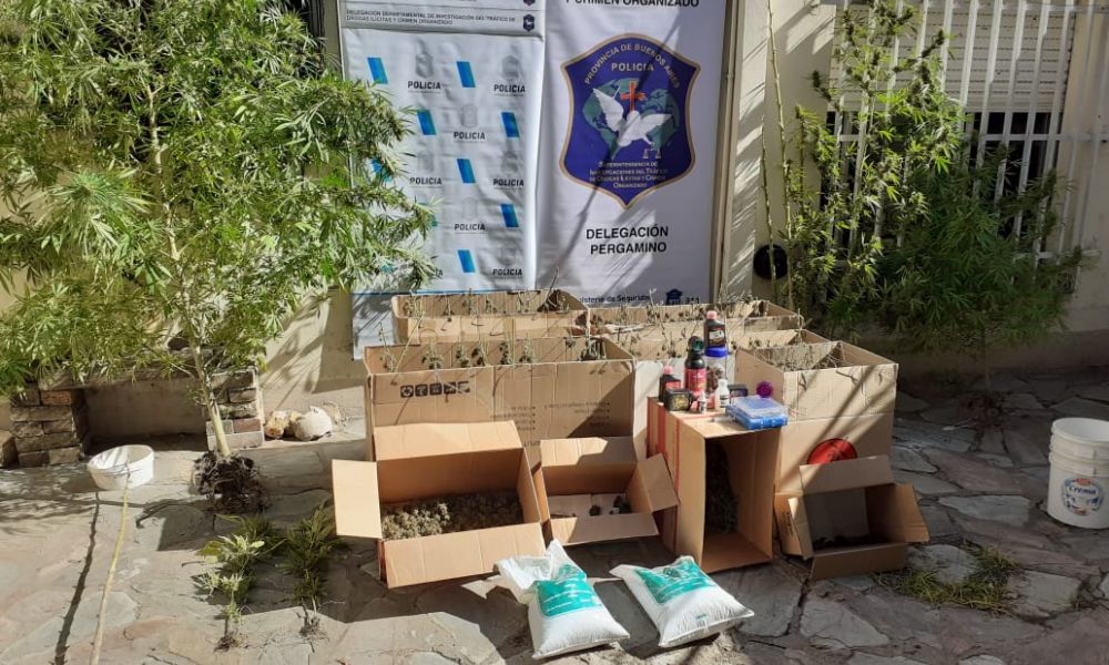 Secuestran gran cantidad de marihuana