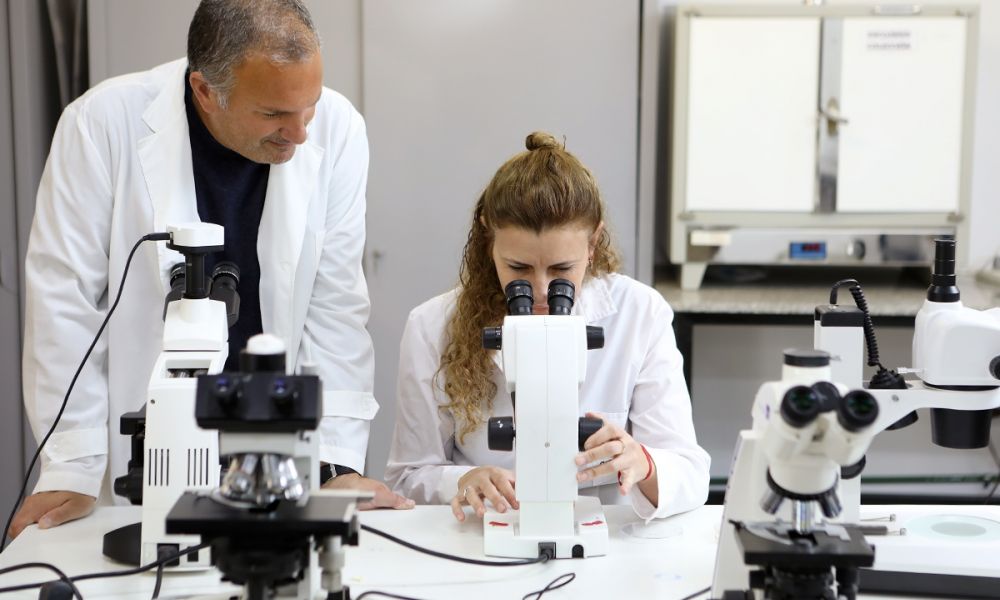 Innovador bioinsecticida a base de hongos