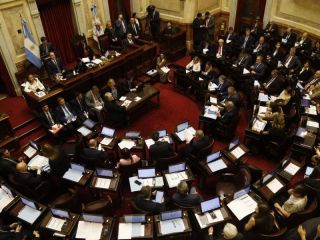 Otra derrota para Milei: El Senado ratific la emergencia peditrica y el financiamiento universitario