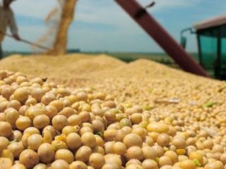 Bragado: AFIP secuestró más de 100 toneladas de soja sin declarar