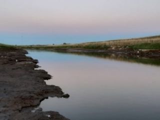 Jun�n: hallan restos f�siles de varias especies por la bajante del Salado