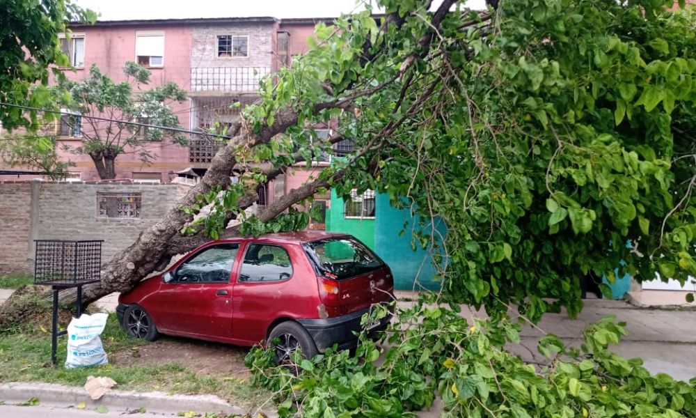 Vientos con ráfagas de 70 km causan destrozos en la ciudad