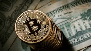 Piden la regulación global del Bitcoin