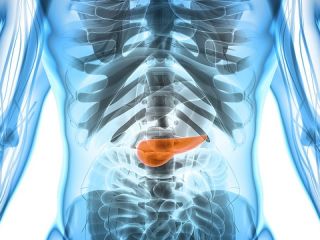 Avance hist�rico contra el c�ncer de p�ncreas: Una terapia combinada logr� eliminar tumores en estudios experimentales