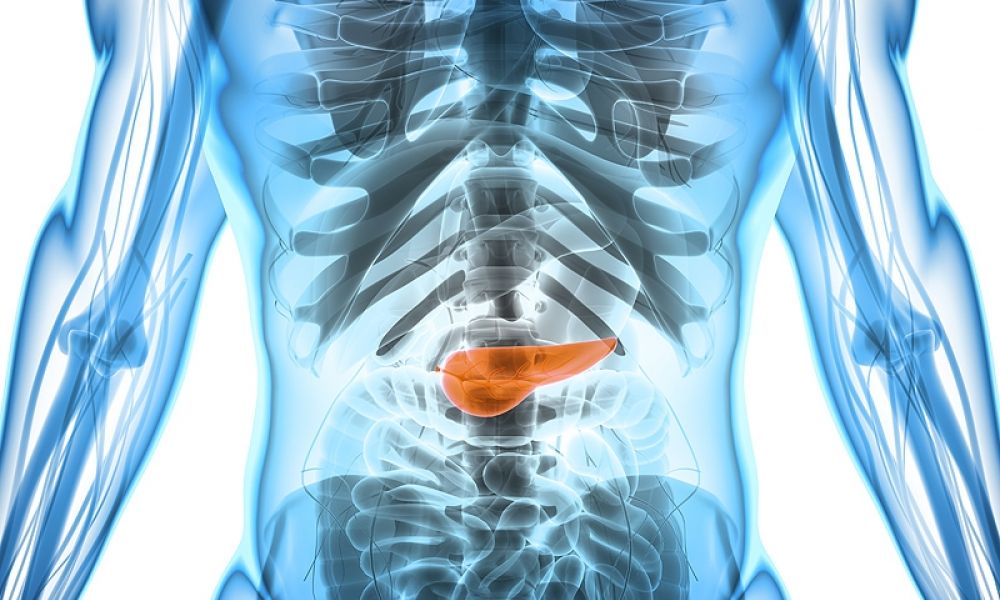 Avance histórico contra el cáncer de páncreas