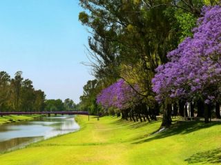 Pergamino VIBRA: Una noche para celebrar el amor, la m�sica y el encuentro