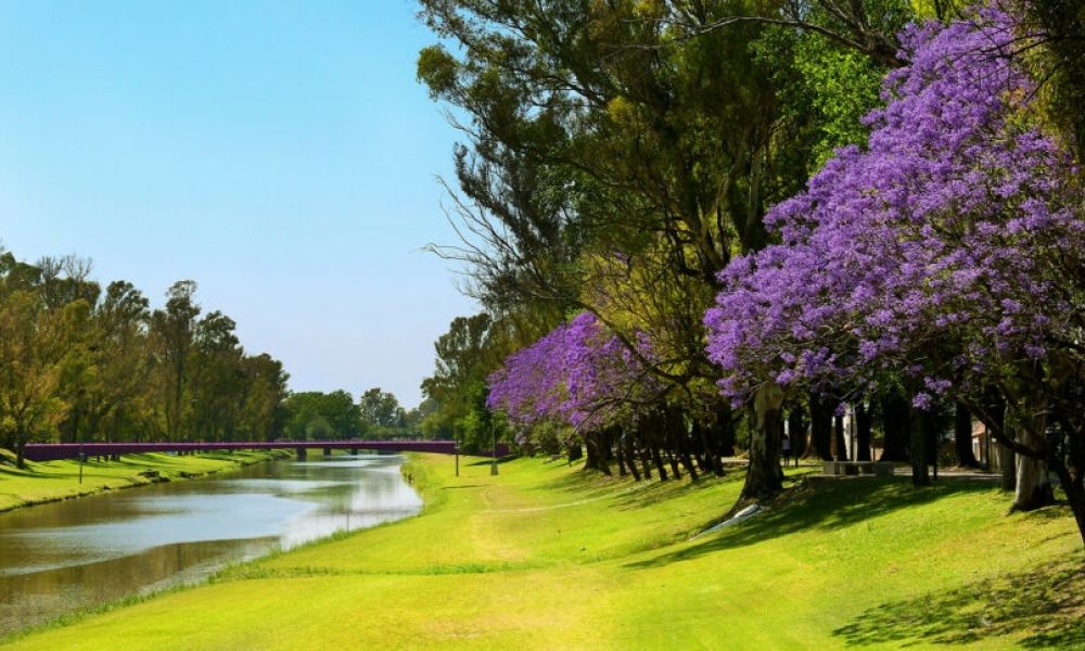 Pergamino VIBRA: Una noche para celebrar el amor