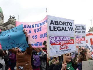 Aborto: una multitud festej la media sancin de la ley