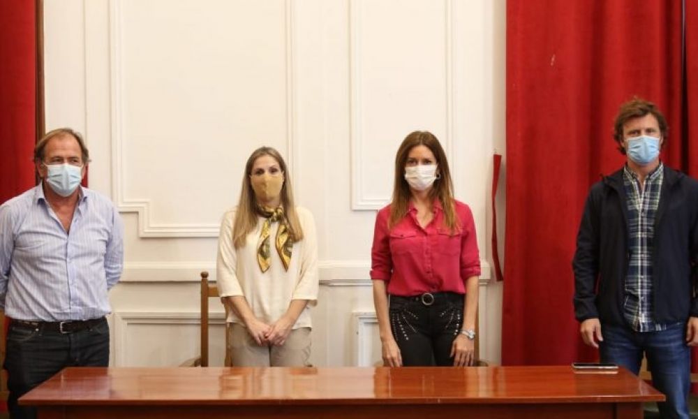 Comité de Crisis