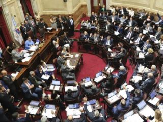 El Senado rechazó el aborto legal
