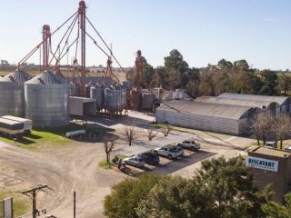 Pergamino: invierten cerca de un mill�n de d�lares en una planta de semillas forrajeras