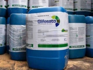Monsanto rechaz� el fallo que considera cancer�geno al glifosato