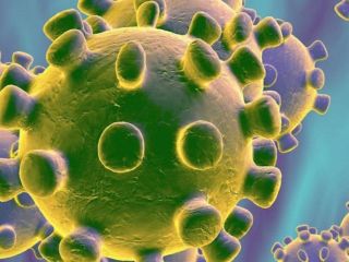 Las 24 excepciones que contempla el DNU