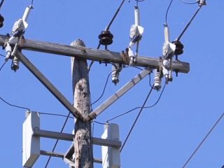 Prohben el corte de servicios por falta de pago