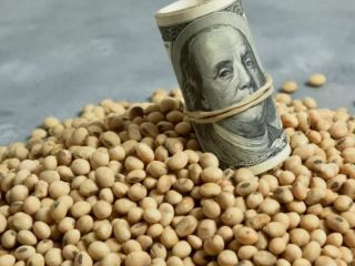 Massa anunci un dlar agro unificado para simplificar cotizaciones