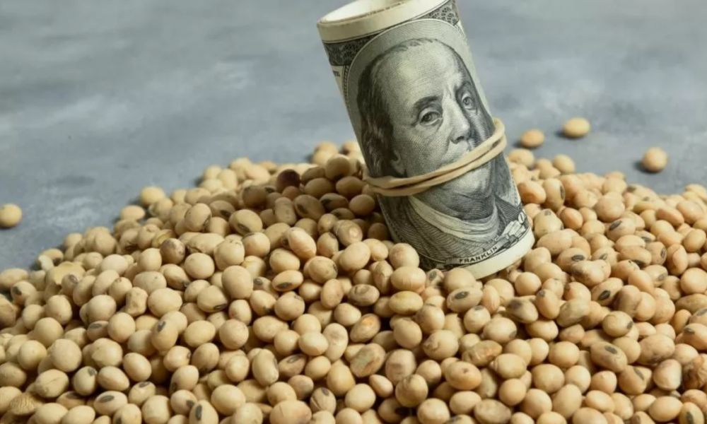 Massa anunció un «dólar agro»