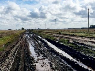 El gobierno bonaerense destinar� $ 570 millones para mejorar caminos rurales