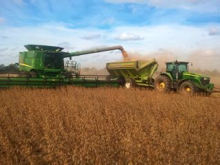 El sector agropecuario permanece inmune a la parlisis por la cuarentena