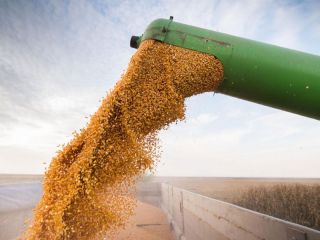 El valor de la cosecha 2021/22 podra alcanzar el rcord histrico de US$ 36.500 millones