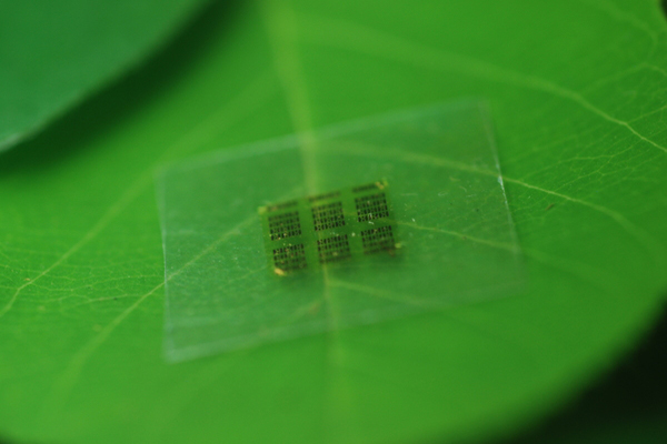 Chip de nanofibrilla de celulosa